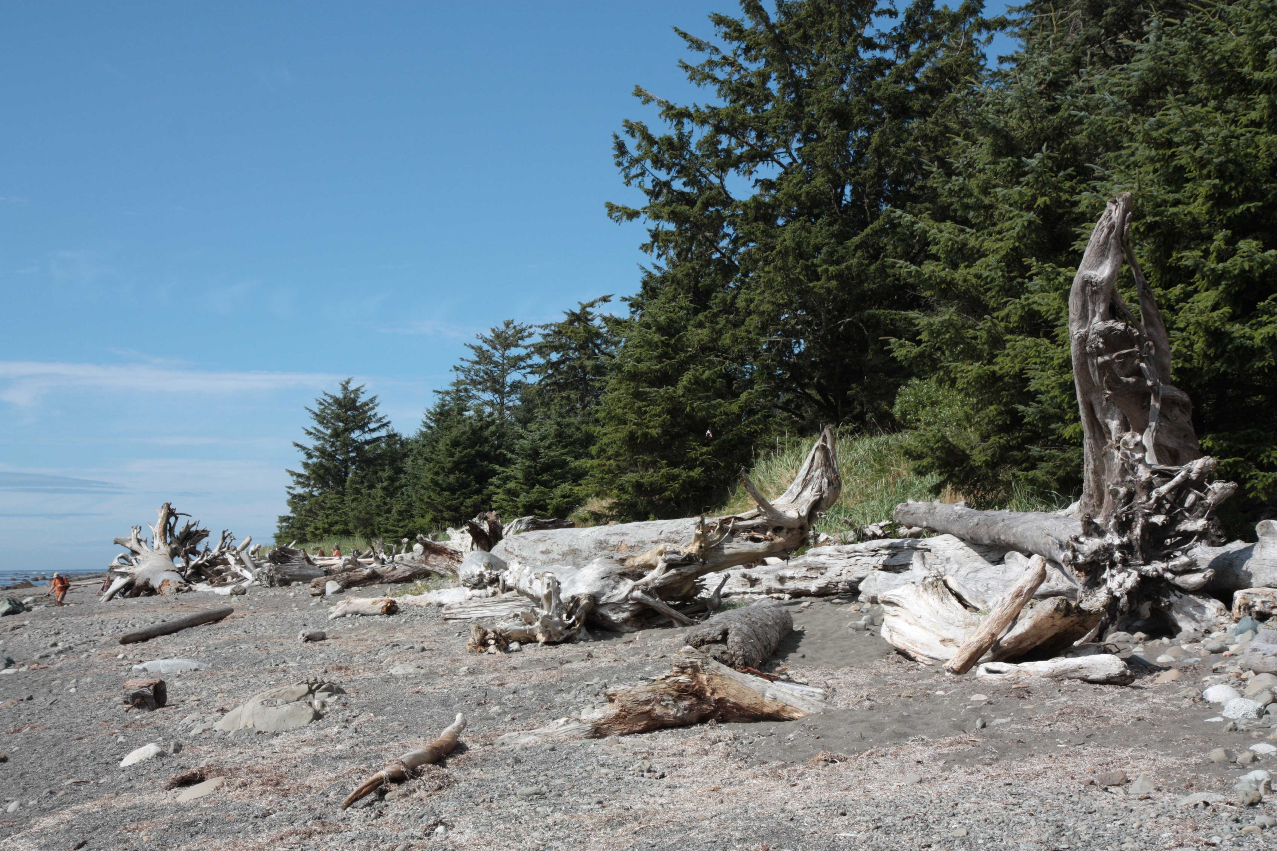 Olympic NP